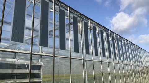 Demain la production horticole pourra peut-être compter sur la technologie de 3ème génération sur film organique. Ici, le film souple ASCA d’Armor en test sur serre maraichère. ©Armor